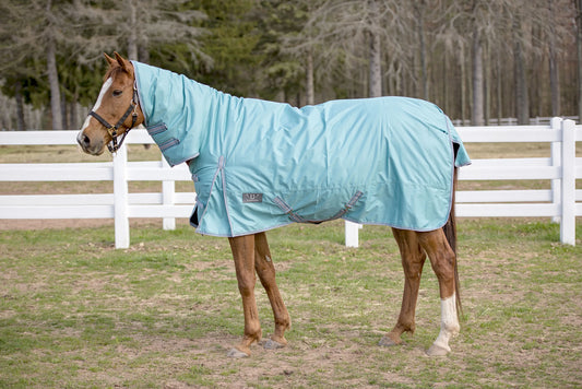 TuffRider 600 D Comfy Winter Medium Weight Turnout Blanket w/ Combo Neck- 200 GSM- Turquoise- 69