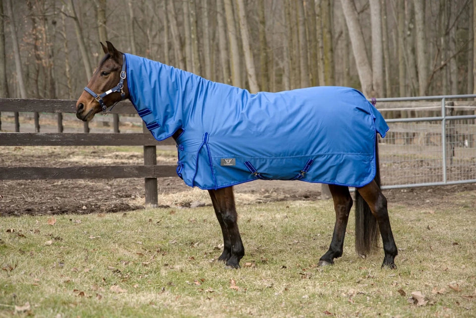 TuffRider 600 D Comfy Winter Medium Weight Turnout Blanket with Combo, Palace blue/72, view 8
