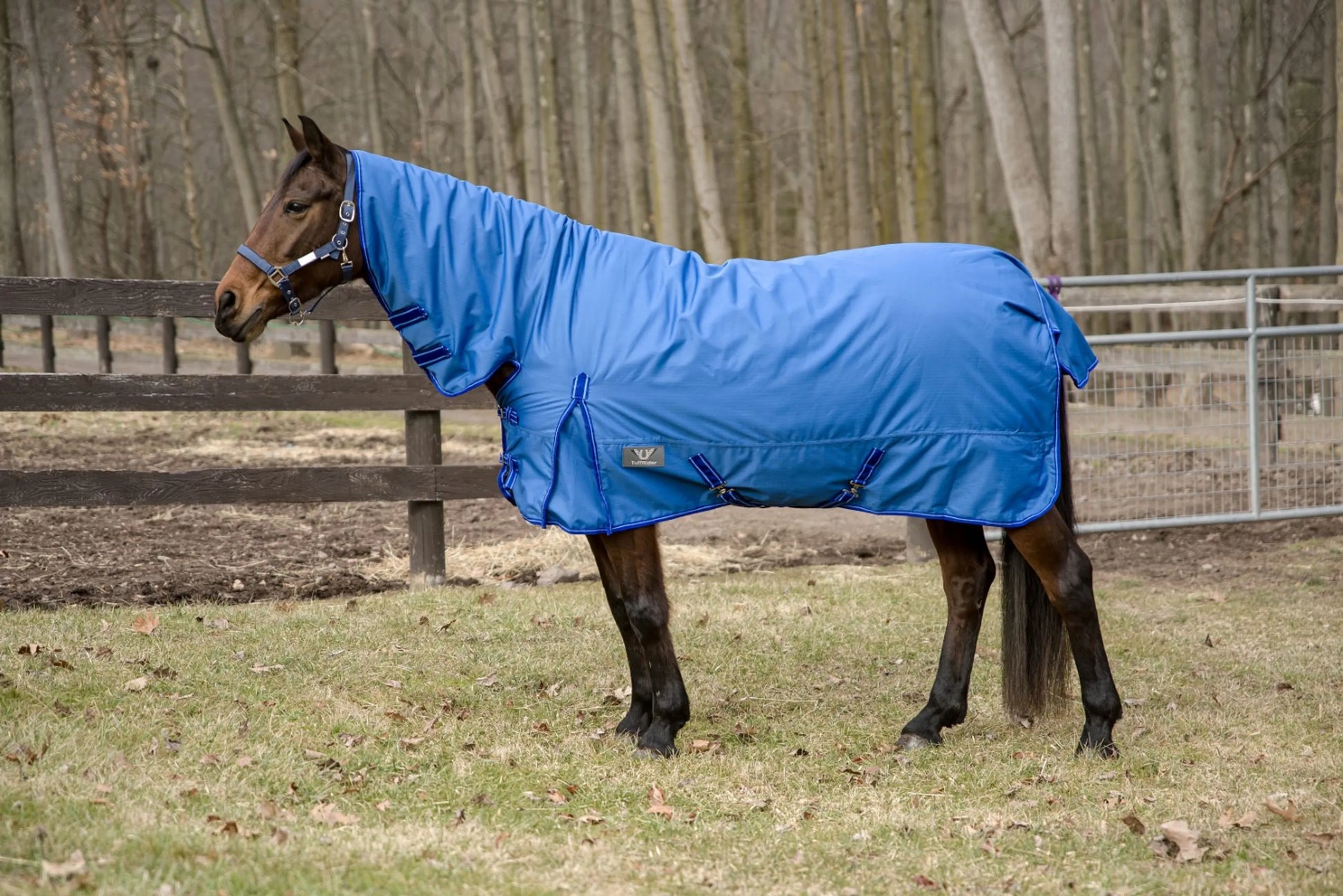TuffRider 600 D Comfy Winter Medium Weight Turnout Blanket w/ Combo Neck- 200 GSM- Turquoise- 69 on horse outdoors