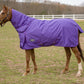 TuffRider 600 D Comfy Winter Medium Weight Turnout Blanket w/ Combo Neck- 200 GSM- Turquoise- 69 on horse in pasture