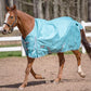Horse wearing TuffRider 600 D Comfy Winter Standard Neck Turnout Sheet- Turquoise- 69 in outdoor paddock setting