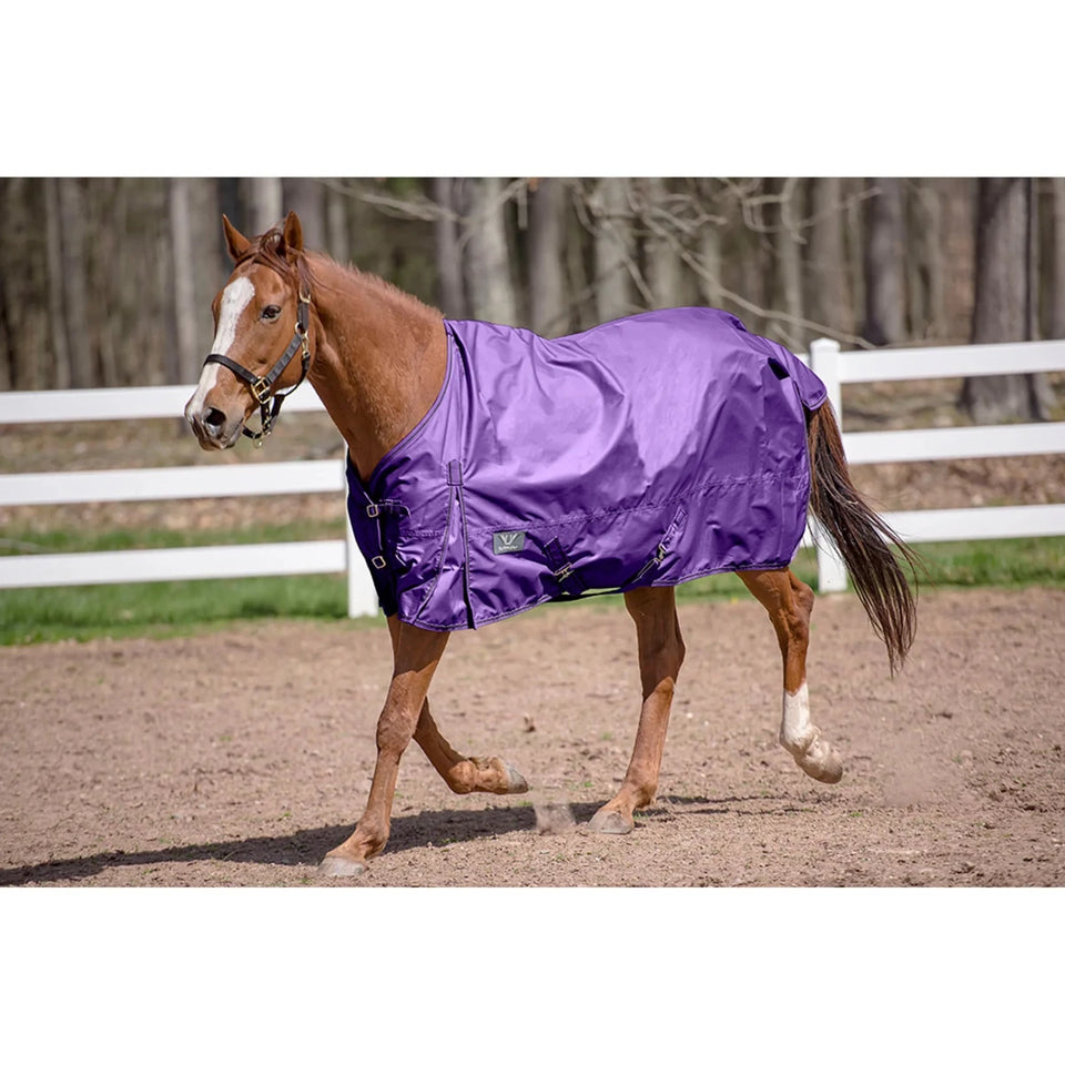 TuffRider 600 D Comfy Winter Standard Neck Turnout Sheet- Turquoise, view 15