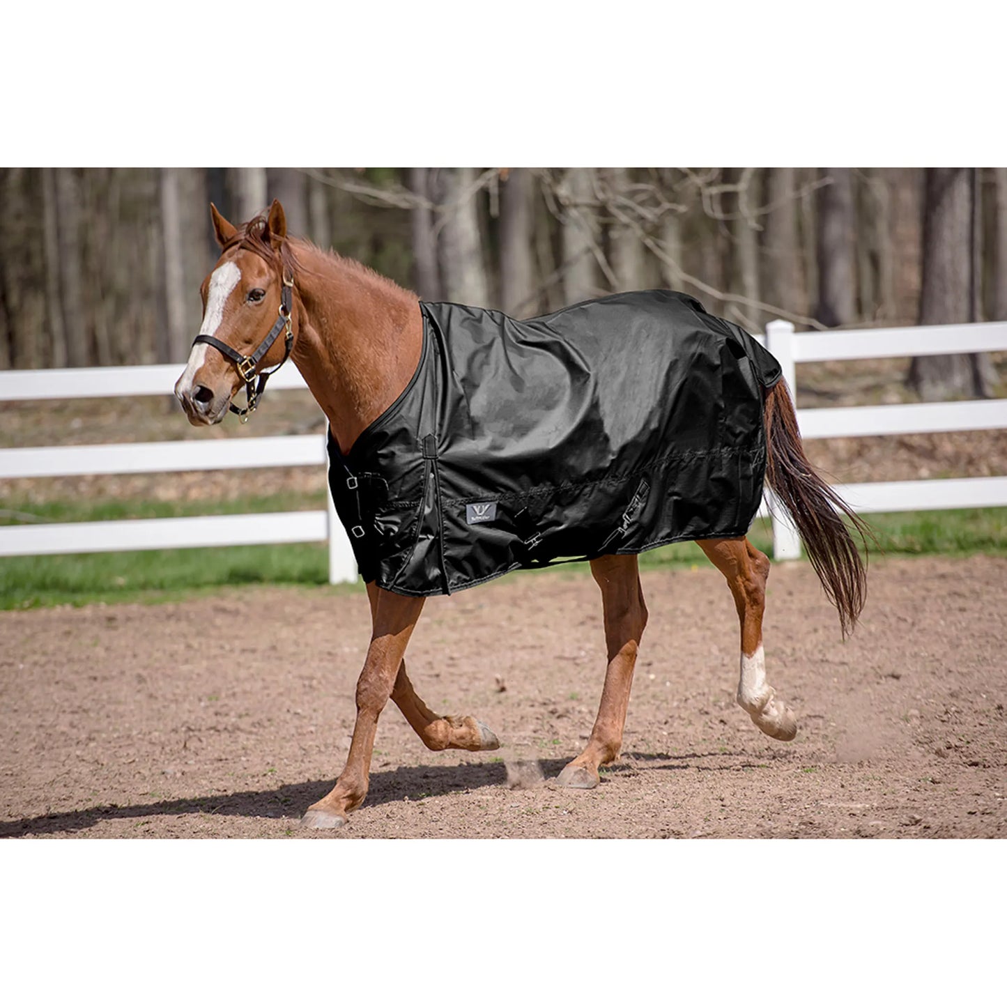 Horse wearing black turnout sheet in paddock with white fence, labeled TuffRider 600 D Comfy Winter Standard Neck Turnout Sheet- Turquoise- 69