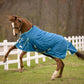 Chestnut horse wearing TUFFRIDER ECORIDER 1200 D MEDIUM WEIGHT STANDARD NECK TURNOUT BLANKET 250 GSM outdoors near white fence
