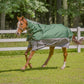 Horse wearing TuffRider Bonum 1200D Medium Weight Detachable Neck Two Tone Turnout Blanket With 200gms of fill in green and gray outdoors.