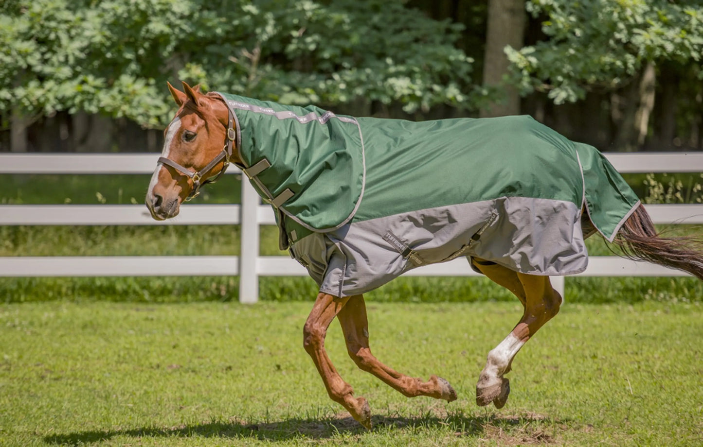 Horse wearing TuffRider Bonum 1200D Medium Weight Detachable Neck Two Tone Turnout Blanket With 200gms of fill outdoors