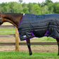 Horse wearing a black and purple TuffRider Kozy Komfort Stable Blanket in a grassy fenced pasture