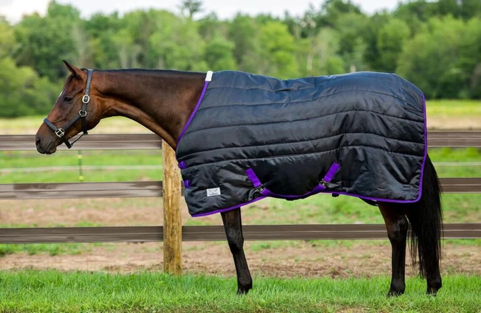 TuffRider Kozy Komfort Stable Blanket, black/81, view 10