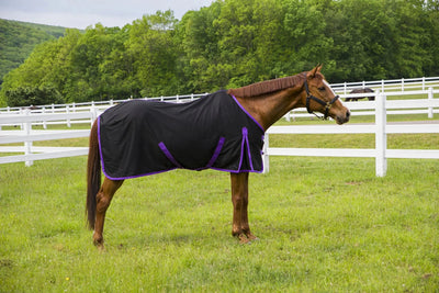 Tuffrider Kozy Komfort Stable Sheet, Black/72