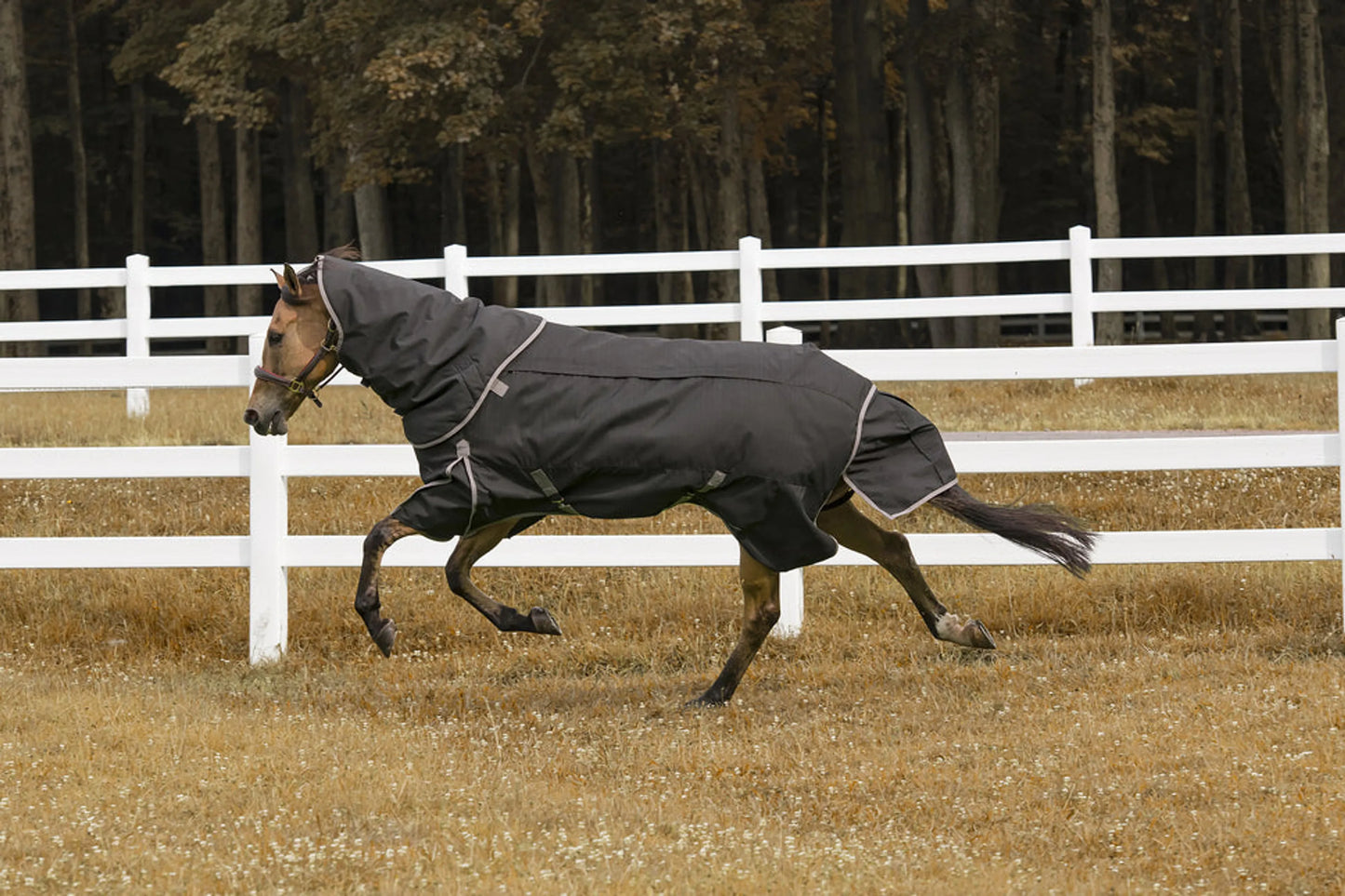 TuffRider 4-in-1 Waterproof All Season Blanket