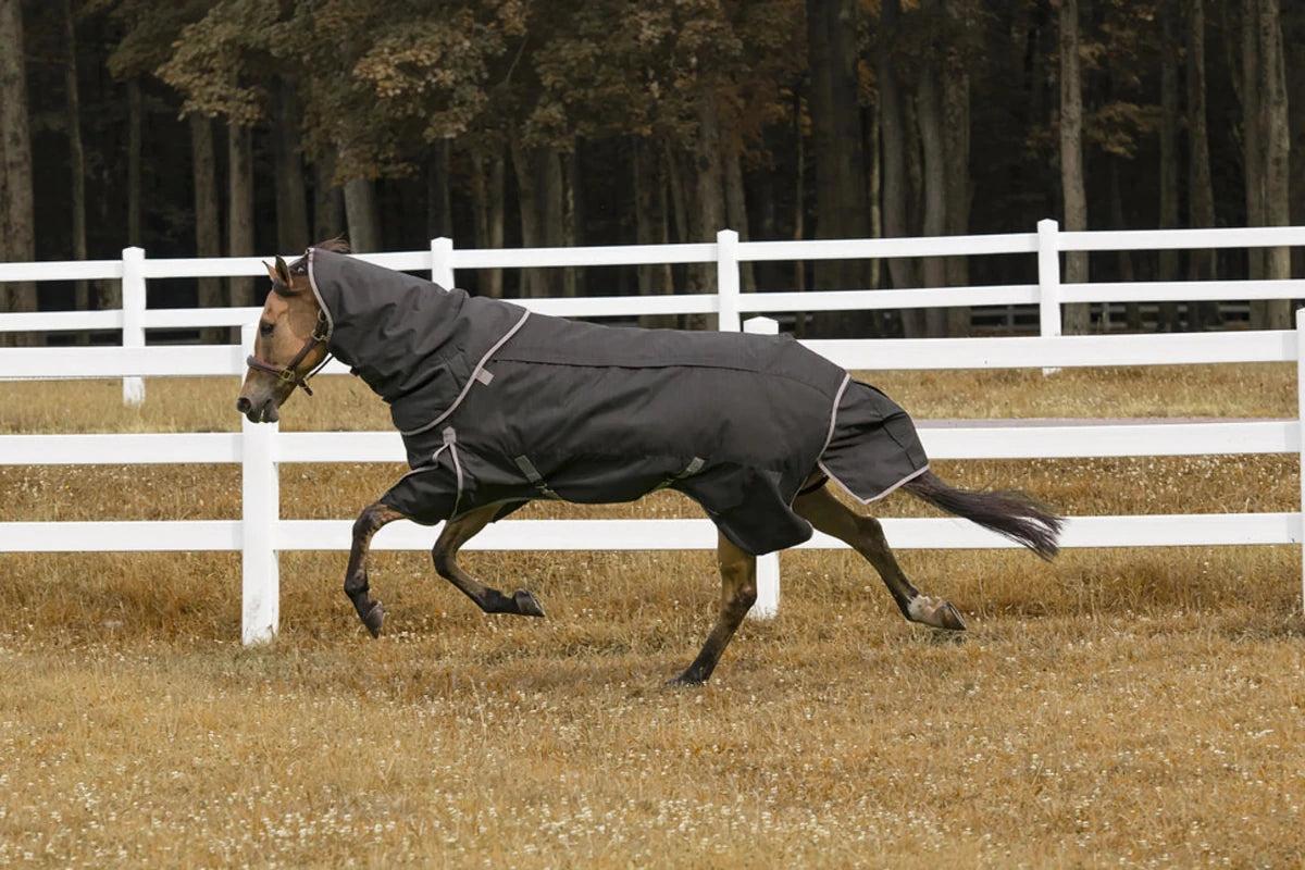Horse running outdoors wearing a black TuffRider 4-in-1 Waterproof All Season Blanket in a fenced pasture
