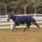 Horse wearing a navy blue TuffRider All Season Turnout Blanket in a fenced grassy paddock with bare trees in the background