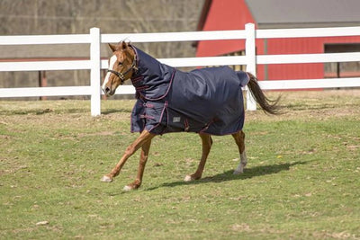 Tuffrider Comfy Heavy Weight Detachable Neck Winter Blanket with 350, Navy/69