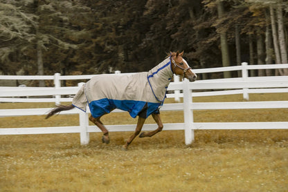 Horse running in a field wearing Tuffrider Bonum 1200D Ripstop Medium Weight Turnout Blanket With Combo Neck- 220 gms.