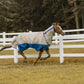 Horse wearing Tuffrider Bonum 1200D Ripstop Medium Weight Turnout Blanket With Combo Neck- 220 gms in fenced pasture running outdoors