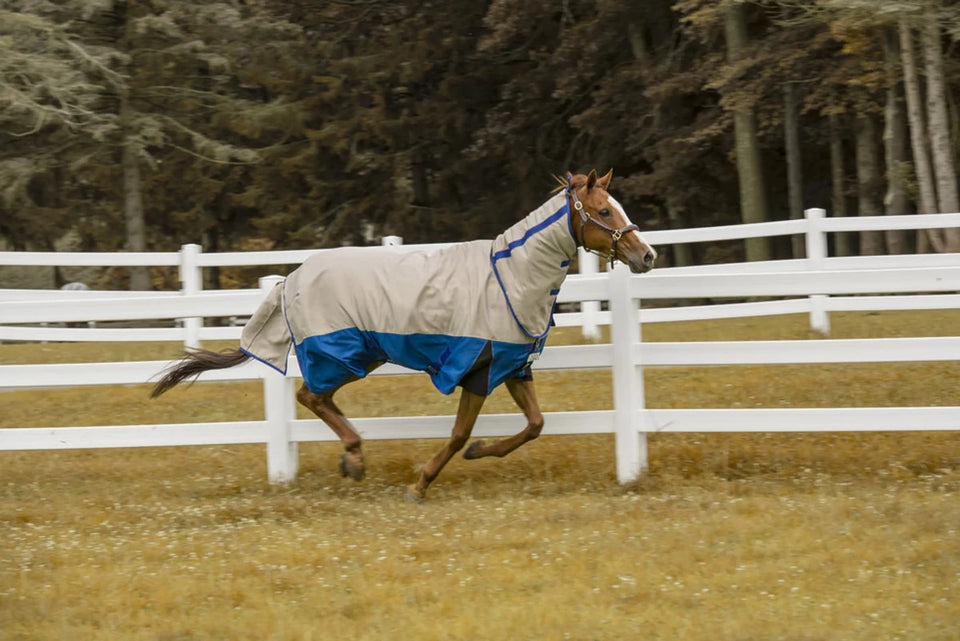 Tuffrider Bonum 1200D Ripstop Medium Weight Turnout Blanket With Combo, view 7