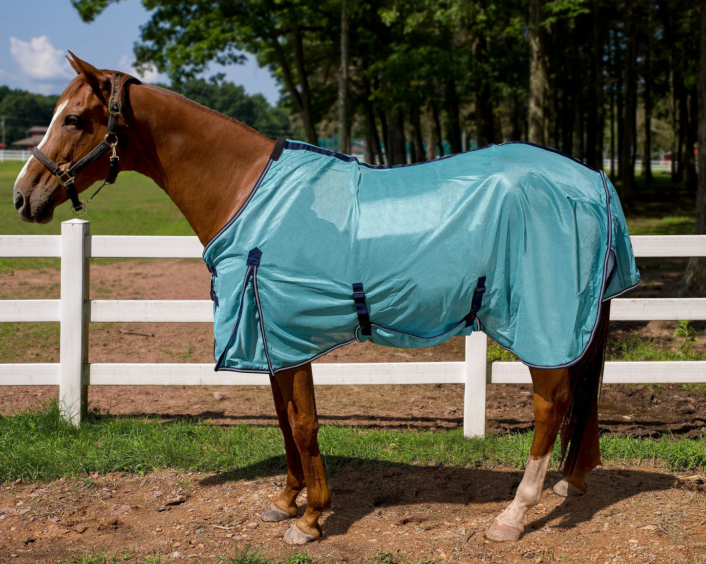 Horse wearing TuffRider Power Mesh Fly Sheet - Sea Angel - 69 standing near white fence on sunny day