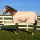 Brown horse wearing Waterproof Horse Turnout Sheet - 1200D Ripstop with Coolmax Moisture-Wicking Lining outdoors near white fence