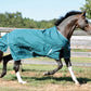 Brown horse wearing Waterproof Horse Turnout Sheet - 1200D Ripstop with Coolmax Moisture-Wicking Lining outdoors