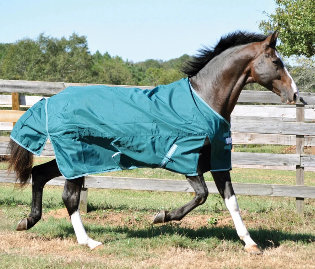 Brown horse wearing Waterproof Horse Turnout Sheet - 1200D Ripstop with Coolmax Moisture-Wicking Lining outdoors in pasture