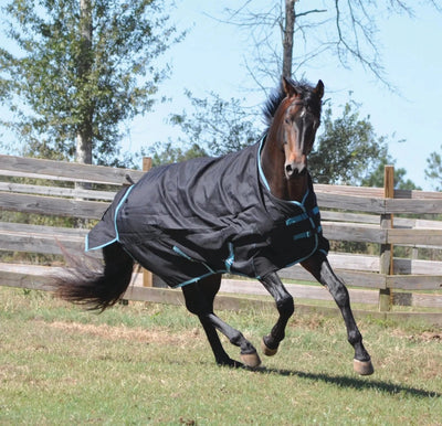 Waterproof Horse Turnout Sheet - 1200D Ripstop with Coolmax, Black/78