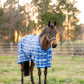 Horse wearing TuffRider Texilene Shoulder Lining FlyShield Sheet -Black /Grey -66 standing in grassy fenced paddock at sunset