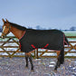 Horse wearing Horse Turnout Blanket - TuffRider Optimum 1680D Outer Armour Medium Weight 220g Thermo Manager Standard Neck Winter Blanket outdoors