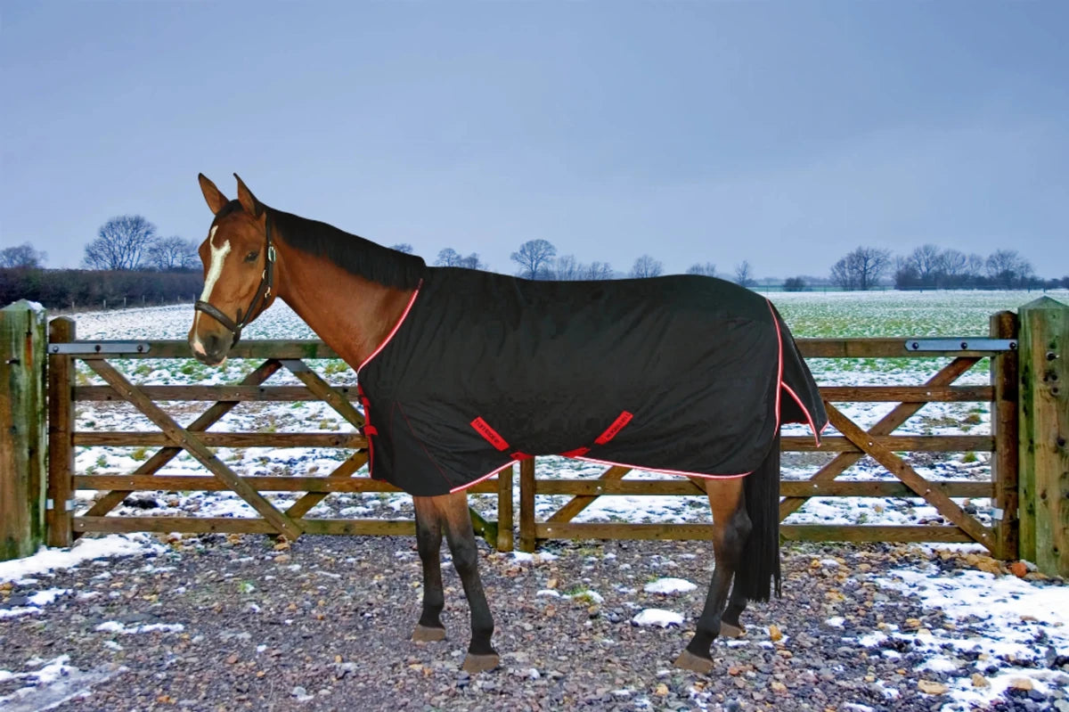 Horse wearing Horse Turnout Blanket - TuffRider Optimum 1680D Outer Armour Medium Weight 220g Thermo Manager Standard Neck Winter Blanket