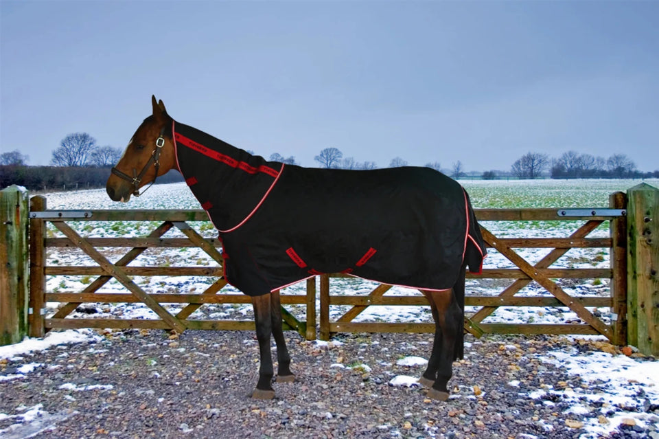 Horse Turnout Blanket - TuffRider Optimum 1680D Medium Weight 220 g, view 8