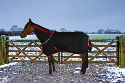 Horse Turnout Blanket - TuffRider Optimum 1680D Medium Weight 220g Detachable Neck Winter Blanket - Pets Perfect