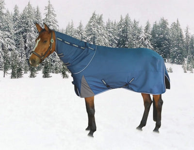 Horse Turnout Blanket - TuffRider Optimum 1680D Heavy Weight 360 g, Ensign blue
