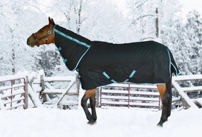 Horse Turnout Blanket - TuffRider Bonum 1200D Ripstop Heavy Weight 360, Black/66