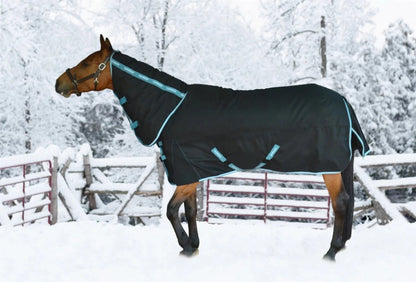 Horse wearing Horse Turnout Blanket - TuffRider Bonum 1200D Ripstop Heavy Weight 360g Combo Neck Winter Blanket in snowy outdoor setting