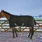 Horse wearing Medium Weight Turnout Blanket - 220g Waterproof Horse Blanket with High Neck standing by wooden gate outdoors.
