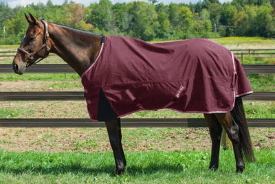 TuffRider Bonum 1200D Ripstop Turnout Sheet with Standard Neck, Maroon, 72