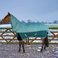 Horse wearing Horse Turnout Blanket - TuffRider Bonum 1200D Ripstop Medium Weight 220g Combo Neck Winter Blanket outdoors