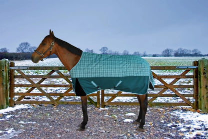 Horse wearing Horse Turnout Blanket - TuffRider Bonum 1200D Ripstop Medium Weight 220g Standard Neck Winter Blanket outdoors