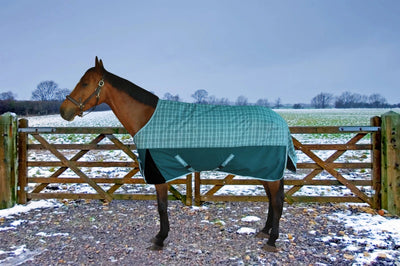 Horse Turnout Blanket - TuffRider Bonum 1200D Ripstop Medium Weight, Deep teal/teal plaid/66