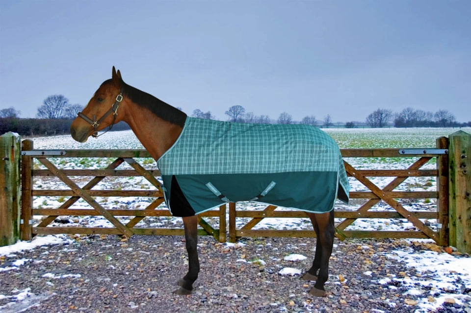 Horse Turnout Blanket - TuffRider Bonum 1200D Ripstop Medium Weight, Deep teal/teal plaid/78, view 5