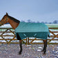 Horse wearing Horse Turnout Blanket - TuffRider Bonum 1200D Ripstop Medium Weight 220g Standard Neck Winter Blanket outdoors