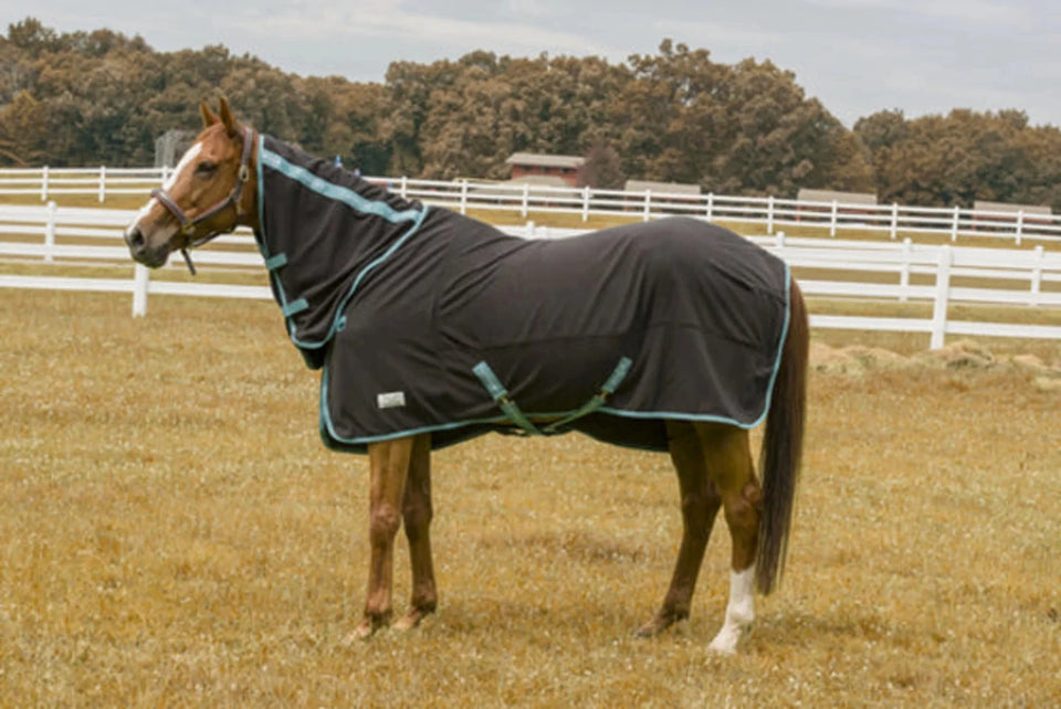 Tuffrider Cooler Sheet Combo, Deep wisteria/63, view 9