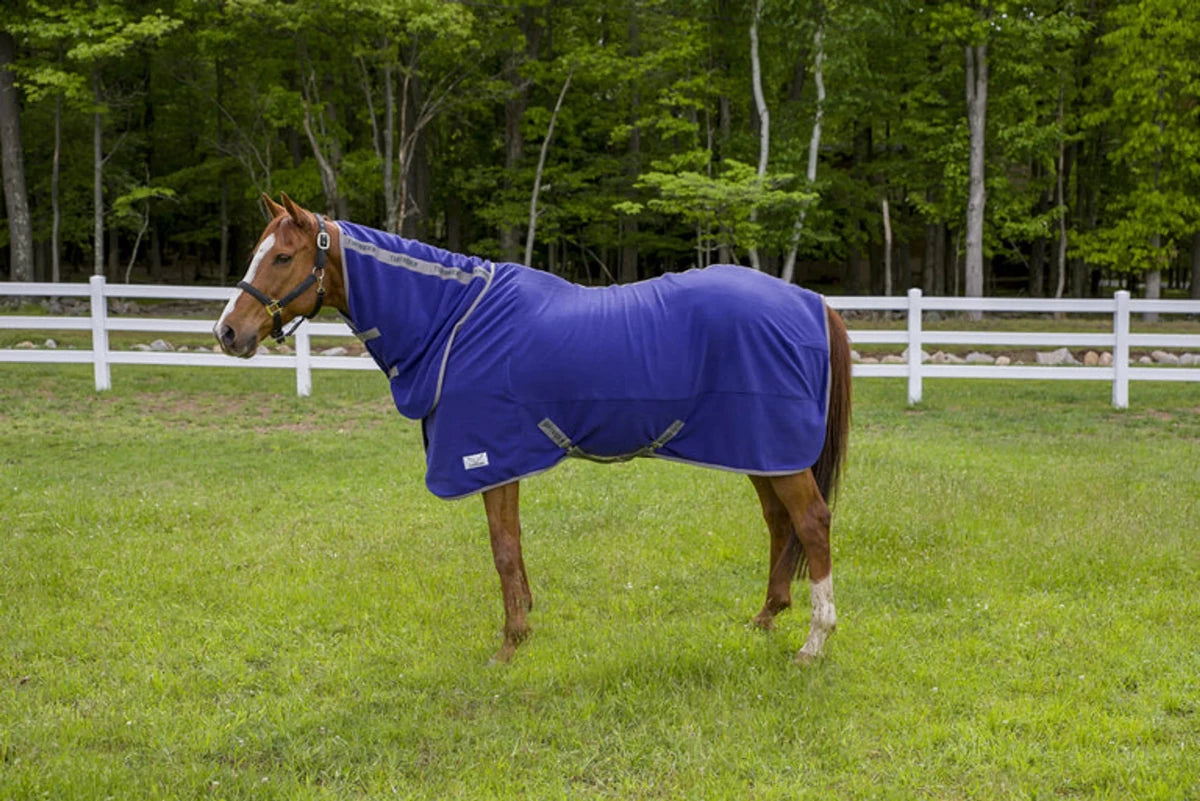 Brown horse wearing a purple Tuffrider Cooler Sheet Combo standing on grass with white fence and trees in background