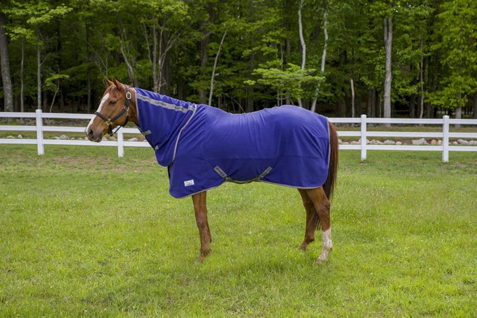 Tuffrider Cooler Sheet Combo, Deep wisteria/81, view 15