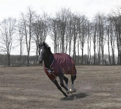 Horse Turnout Blanket - TuffRider Optimum 1680D Heavy Weight 360 g, Tawny port/69