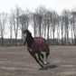 Horse Turnout Blanket - TuffRider Optimum 1680D Heavy Weight 360g Detachable Neck Winter Blanket - Pets Perfect