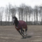 TuffRider Optimum 1680D Triple Weave Herringbone with Heavy Weight Thermo Manager To 360 GMS Detachable Neck Turnout