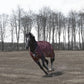 Horse Turnout Blanket - TuffRider Optimum 1680D Medium Weight 220g Detachable Neck Winter Blanket - Pets Perfect