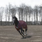 TuffRider Optimum 1680D Triple Weave Herringbone with Medium Weight Thermo Manager To 220 GMS Hi Neck Turnout