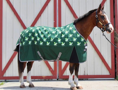 Waterproof Pony Turnout Blanket - 220 g Medium Weight Winter Blanket, Hunter/66