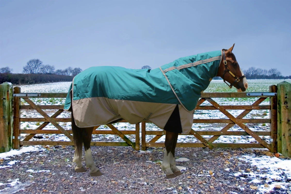 Horse Turnout Blanket - TuffRider Major 1200D Ballistic Medium Weight 220g Detachable Neck Two - Tone Winter Blanket - Pets Perfect